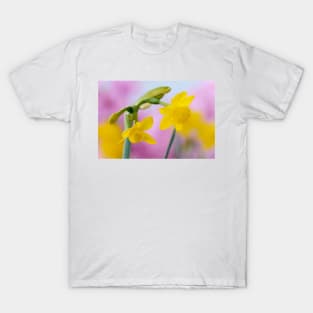 Narcissus  &#39;Little Oliver&#39;   Division 7 Jonquilla  Daffodil T-Shirt